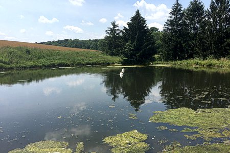 Northern Lehigh Multi-Municipal Comprehensive Plan